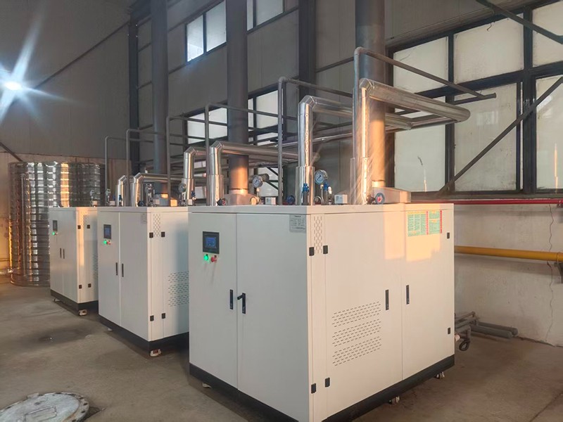 全预混燃气蒸汽发生器案例